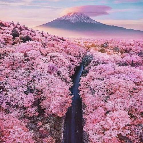 دردانه ی منی تو بهانه ی منی